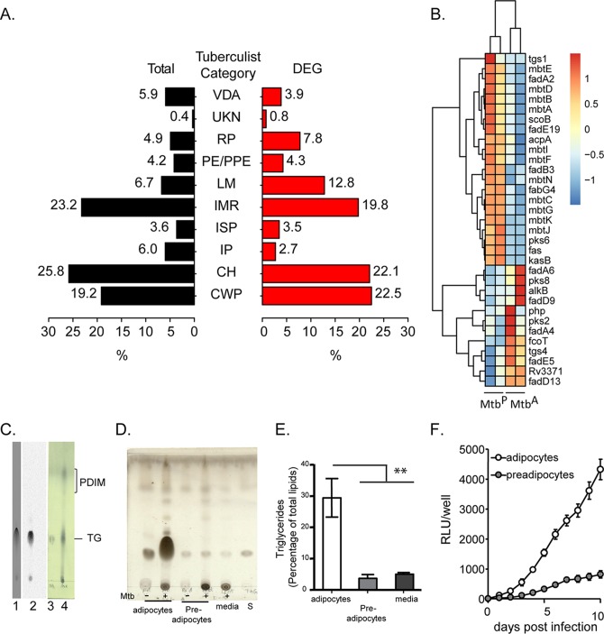  Adipocyte model of Mycobacterium tuberculosis infection reveals differential iron availability to bacilli in the lipid rich caseous environment.